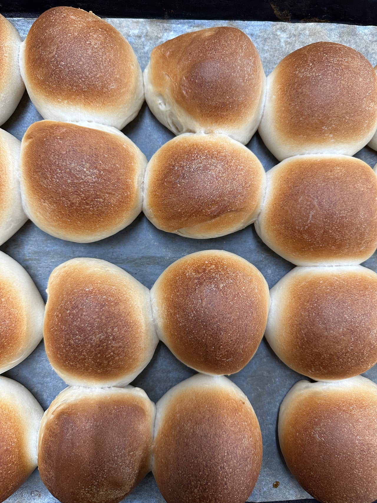 White Dinner Rolls