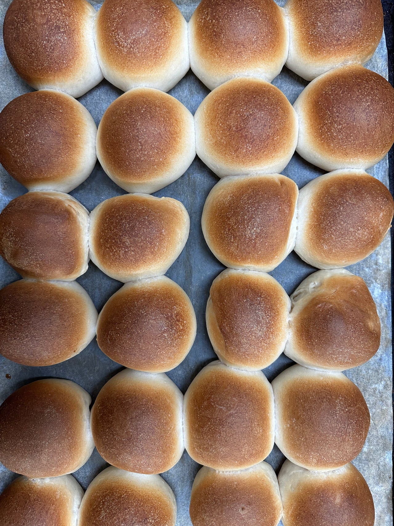 White Buns
